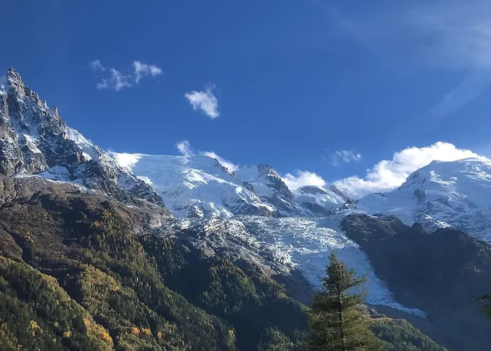 Les Alpins - Centre De - Renove Avec Jardin Et Vue Imprenable Sur Le Montblanc * Шамони