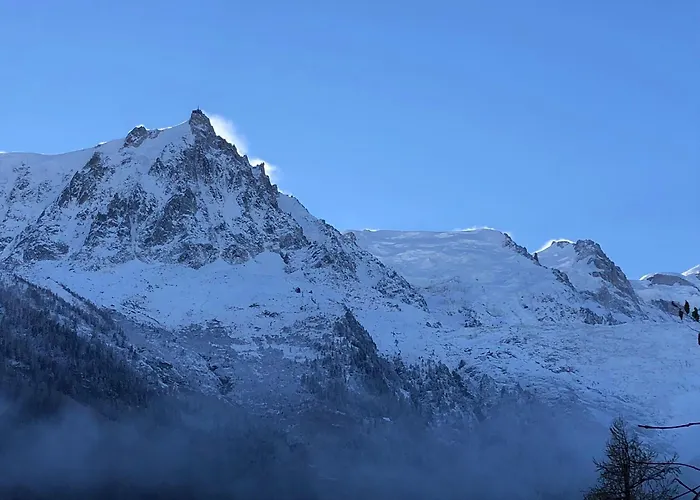Les Alpins - Centre De - Renove Avec Jardin Et Vue Imprenable Sur Le Montblanc Шамони