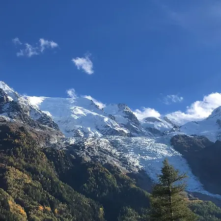 Les Alpins - Centre De - Renove Avec Jardin Et Vue Imprenable Sur Le Montblanc * Chamonix