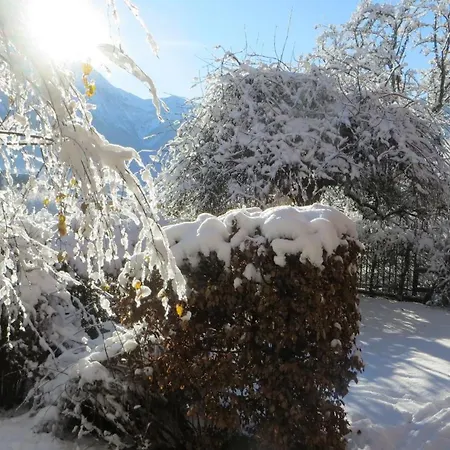Les Alpins - Centre De - Renove Avec Jardin Et Vue Imprenable Sur Le Montblanc Apartmán
