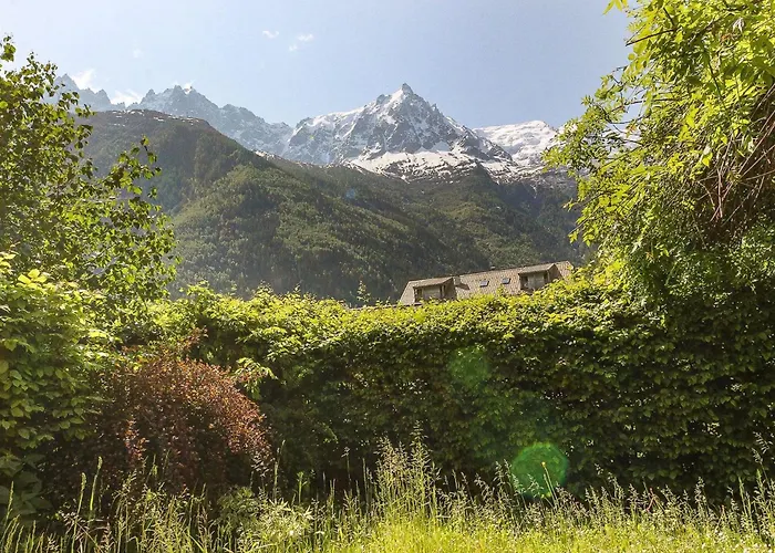 Les Alpins - Centre De - Renove Avec Jardin Et Vue Imprenable Sur Le Montblanc