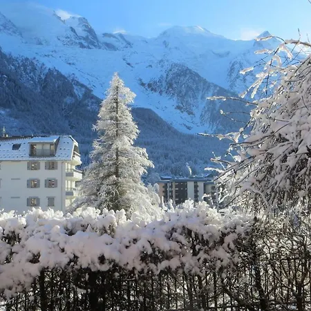 Les Alpins - Centre De - Renove Avec Jardin Et Vue Imprenable Sur Le Montblanc