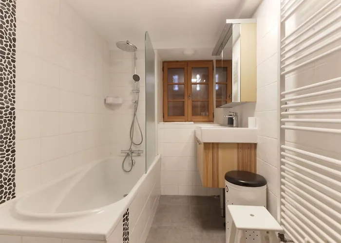 Les Alpins - Centre De - Renove Avec Jardin Et Vue Imprenable Sur Le Montblanc * Chamonix