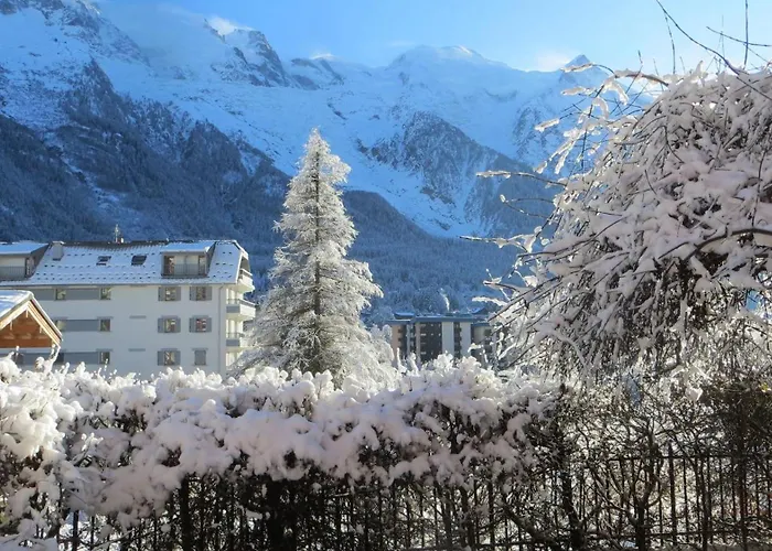 Les Alpins - Centre De - Renove Avec Jardin Et Vue Imprenable Sur Le Montblanc