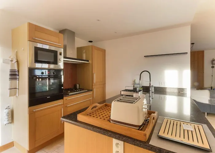 Apartment Les Alpins - Centre De - Renove Avec Jardin Et Vue Imprenable Sur Le Montblanc Chamonix