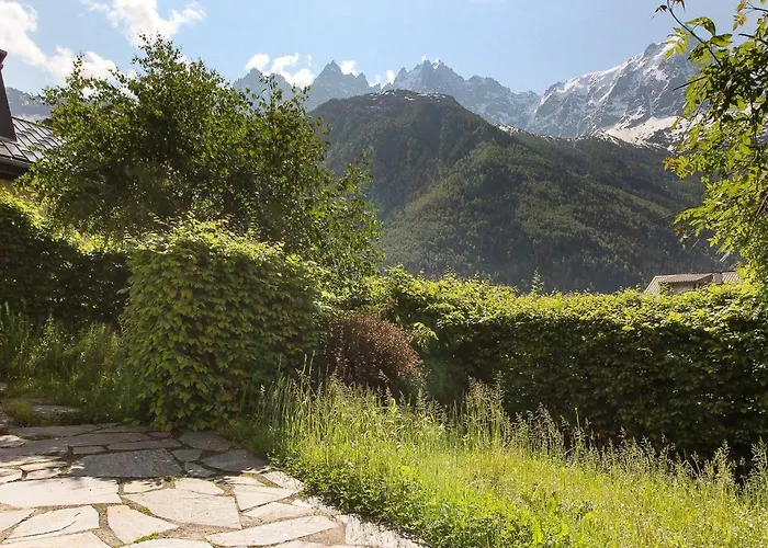 Les Alpins - Centre De - Renove Avec Jardin Et Vue Imprenable Sur Le Montblanc Chamonix